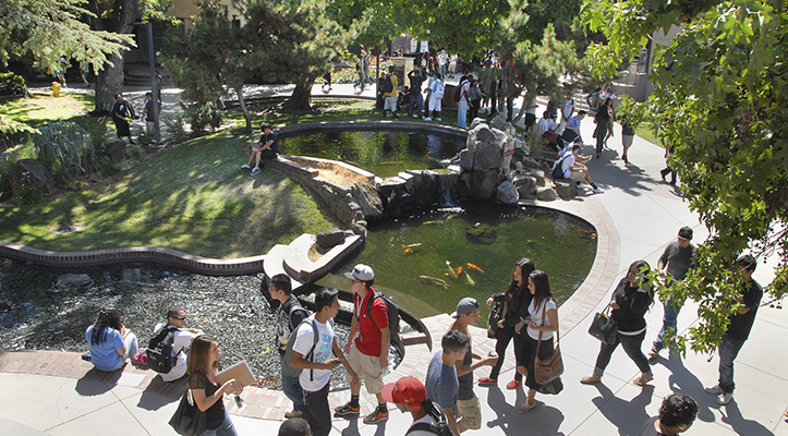 Koi pod located at Delta College